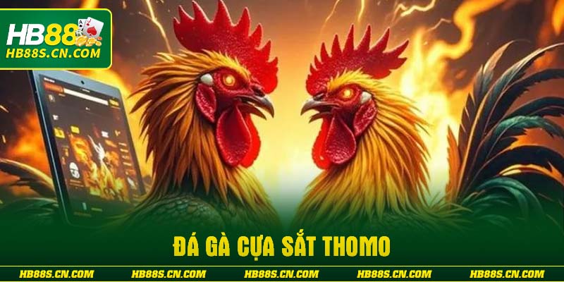 da-ga-cua-sat-thomo